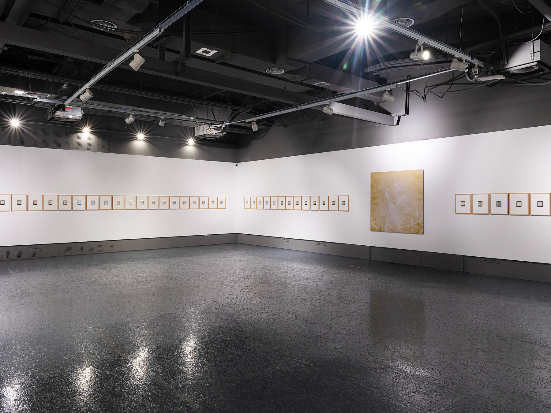 Collaborations — Morning Lights — installation view 1