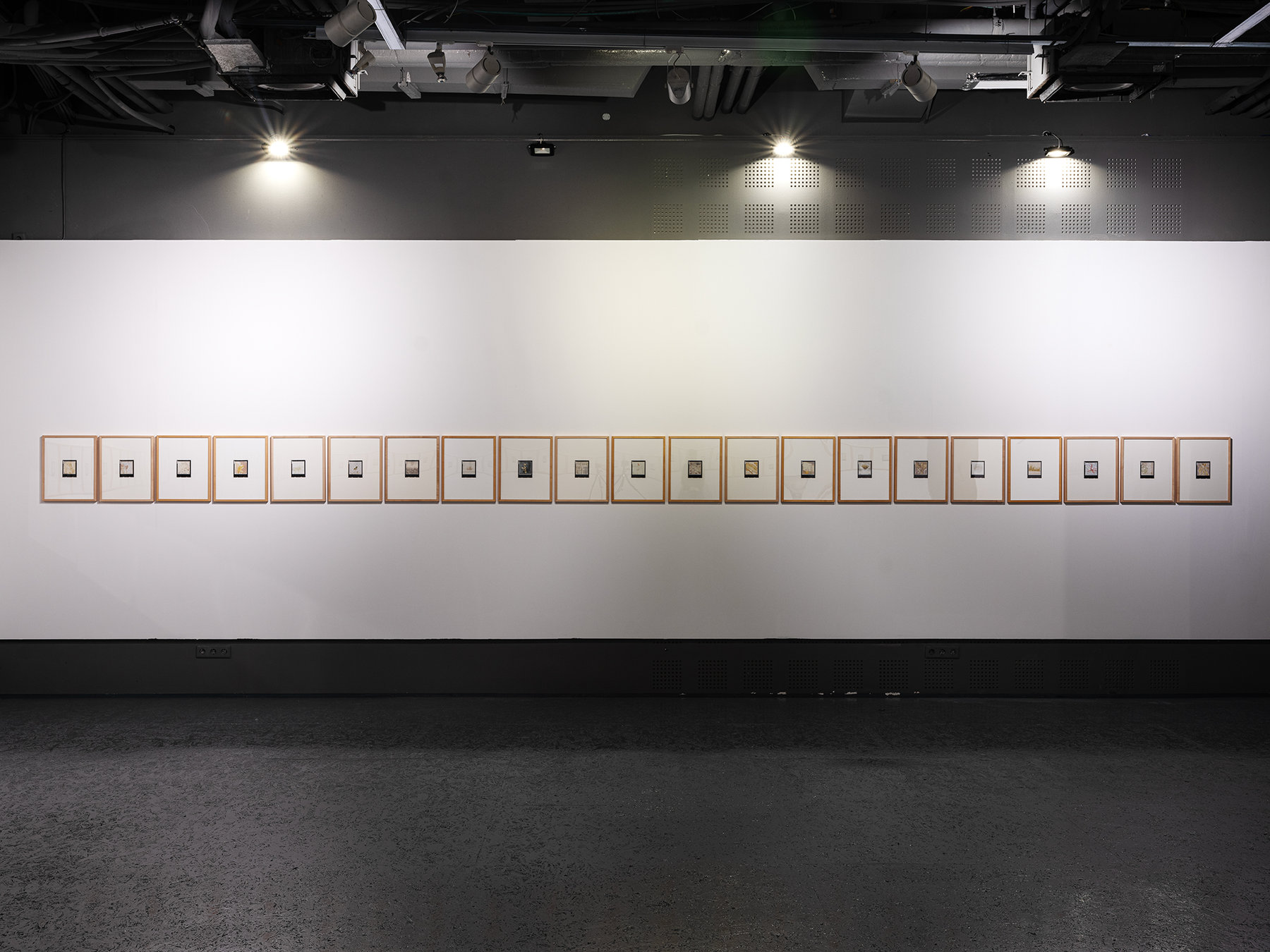 Collaborations — Morning Lights — installation view 2