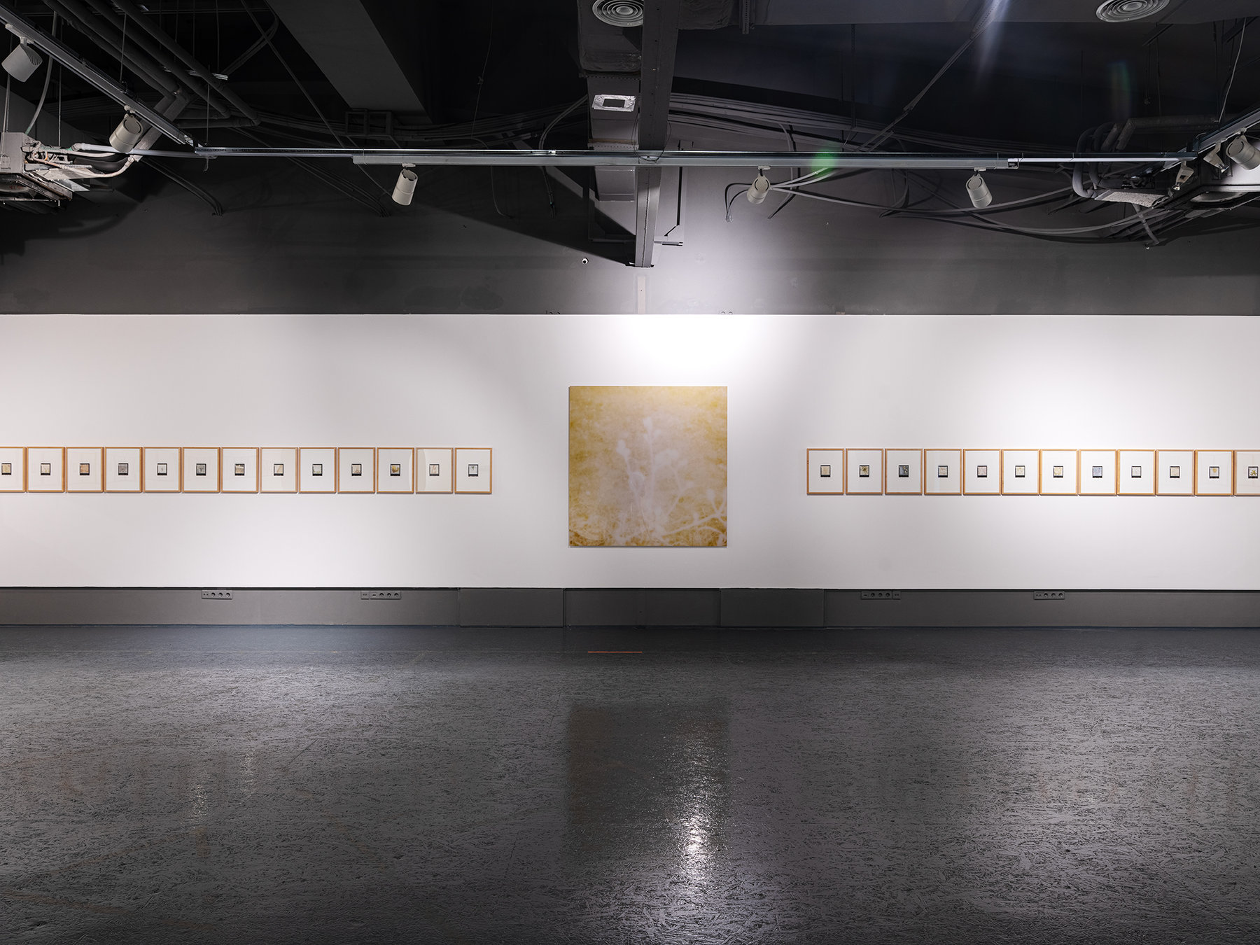 Collaborations — Morning Lights — installation view 3