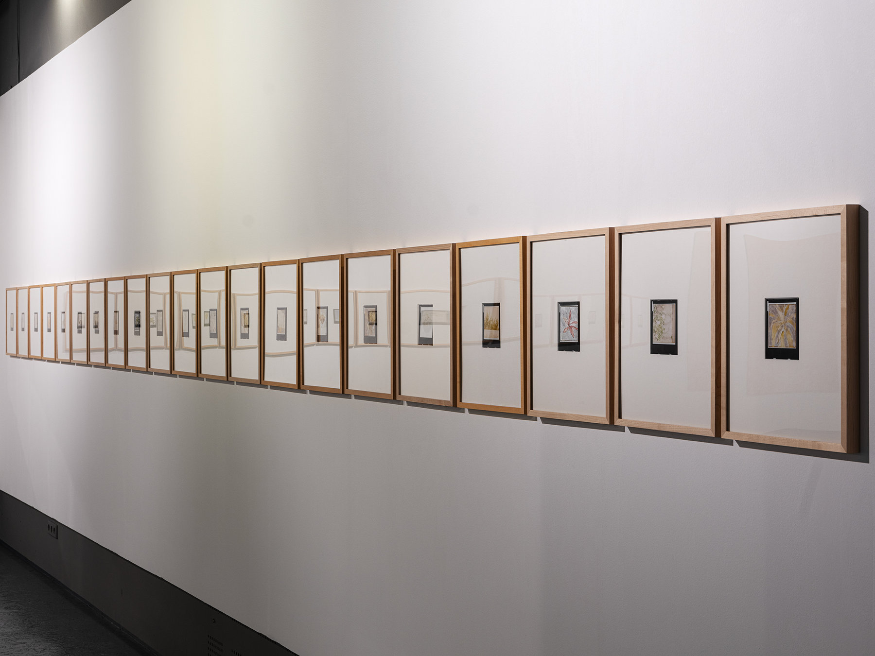 Collaborations — Morning Lights — installation view 4